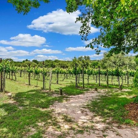 הוילה Hammetts Crossing Hamilton Pool Vineyards & Farms מראה חיצוני תמונה
